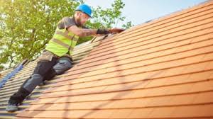 Best Roof Moss and Algae Removal  in Granville, OH